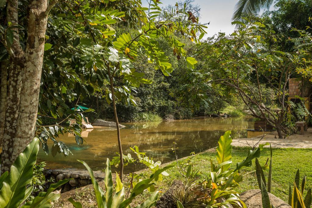 Villa Azalea Inn & Organic Farm JALISCO ภายนอก รูปภาพ