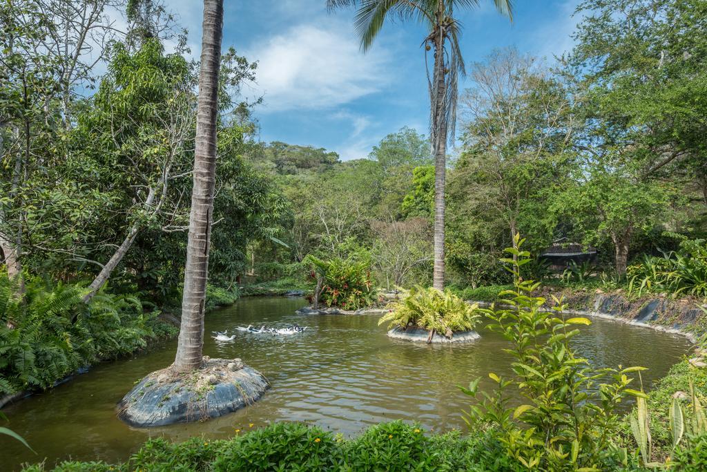 Villa Azalea Inn & Organic Farm JALISCO ภายนอก รูปภาพ