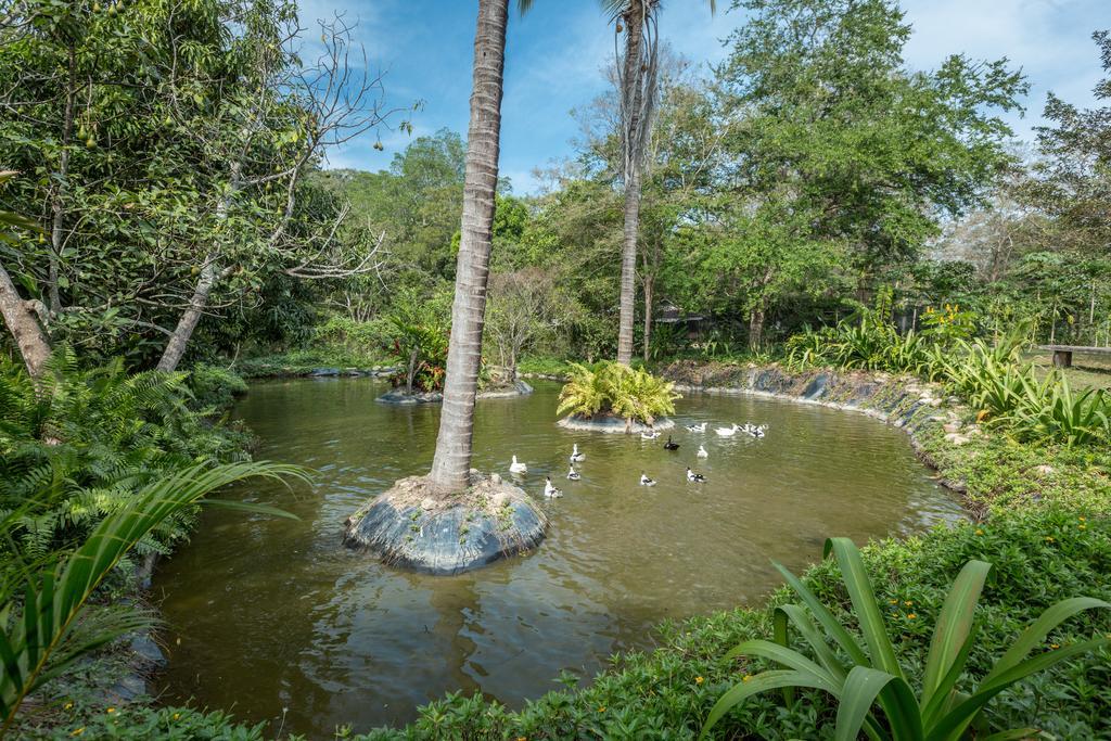 Villa Azalea Inn & Organic Farm JALISCO ภายนอก รูปภาพ
