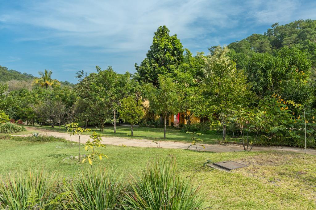 Villa Azalea Inn & Organic Farm JALISCO ภายนอก รูปภาพ