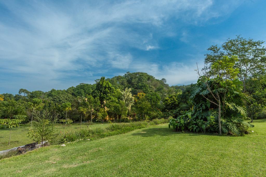 Villa Azalea Inn & Organic Farm JALISCO ภายนอก รูปภาพ