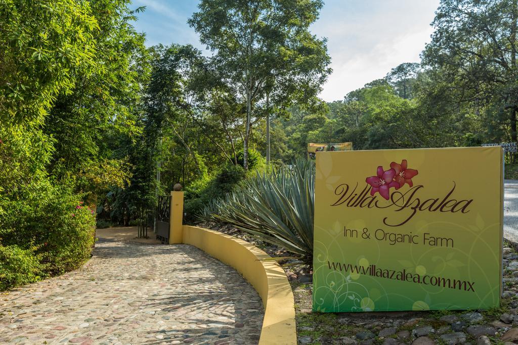 Villa Azalea Inn & Organic Farm JALISCO ภายนอก รูปภาพ