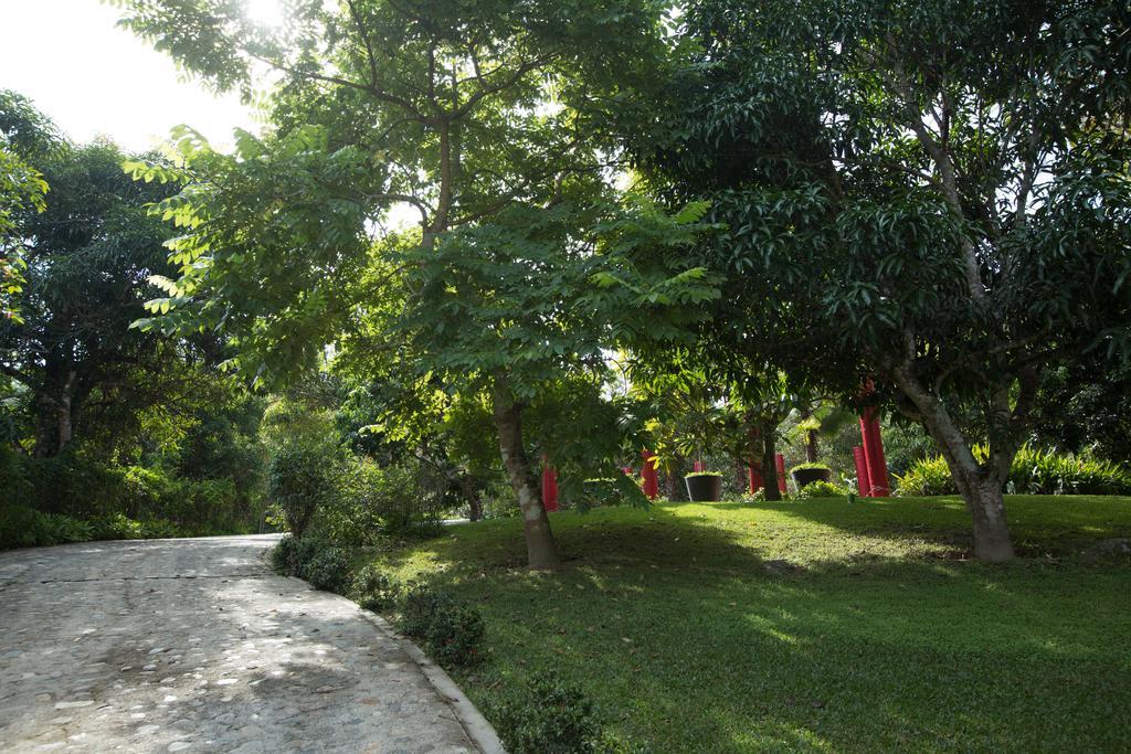 Villa Azalea Inn & Organic Farm JALISCO ภายนอก รูปภาพ