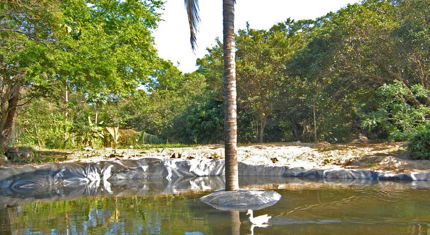 Villa Azalea Inn & Organic Farm JALISCO ภายนอก รูปภาพ