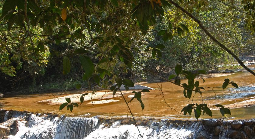 Villa Azalea Inn & Organic Farm JALISCO ภายนอก รูปภาพ