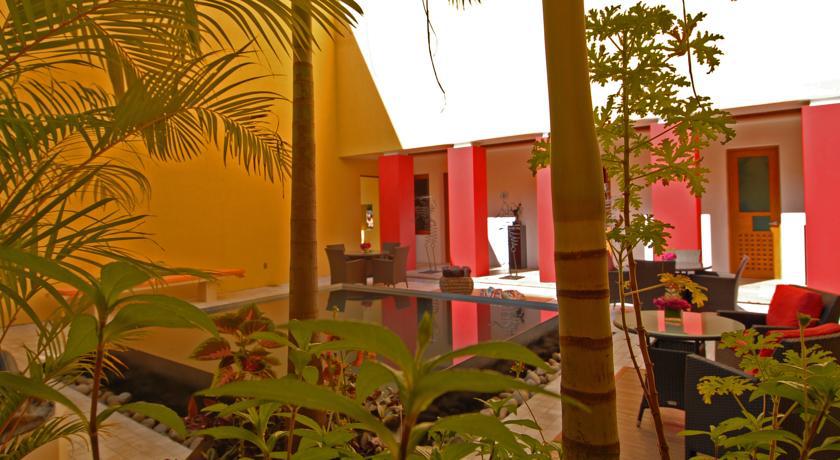 Villa Azalea Inn & Organic Farm JALISCO ภายนอก รูปภาพ